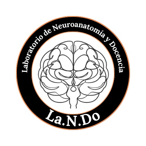 2025-LaNDo