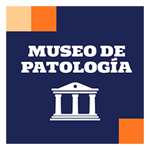 patalogia